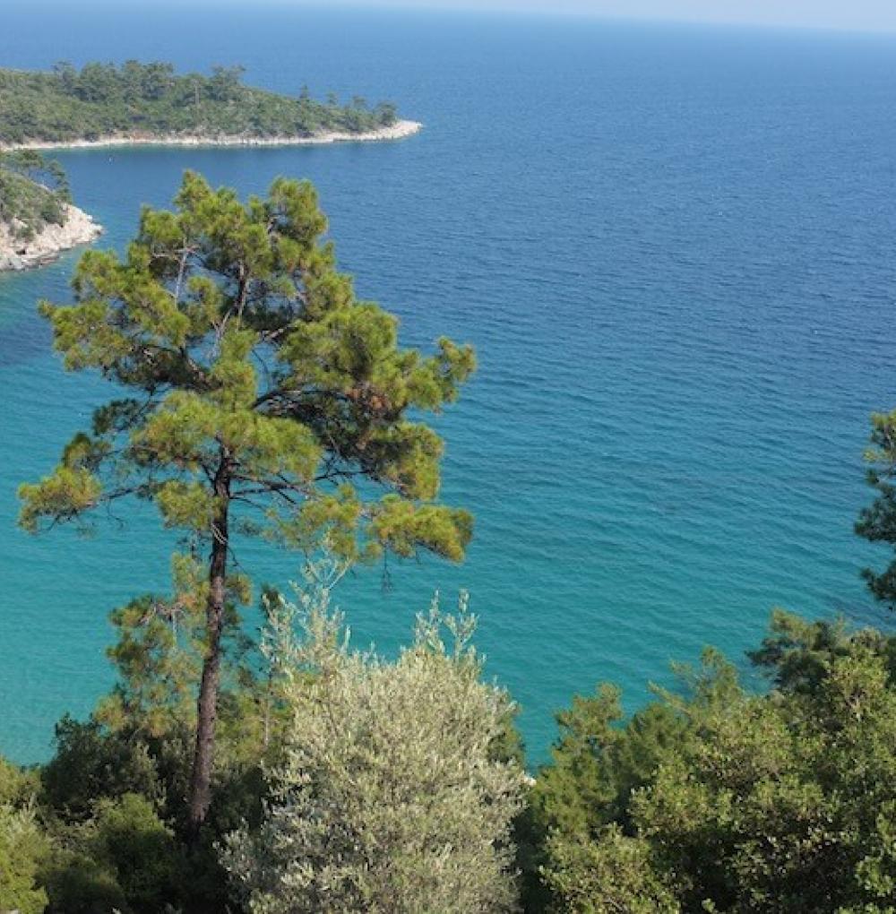 Thasos in a different way