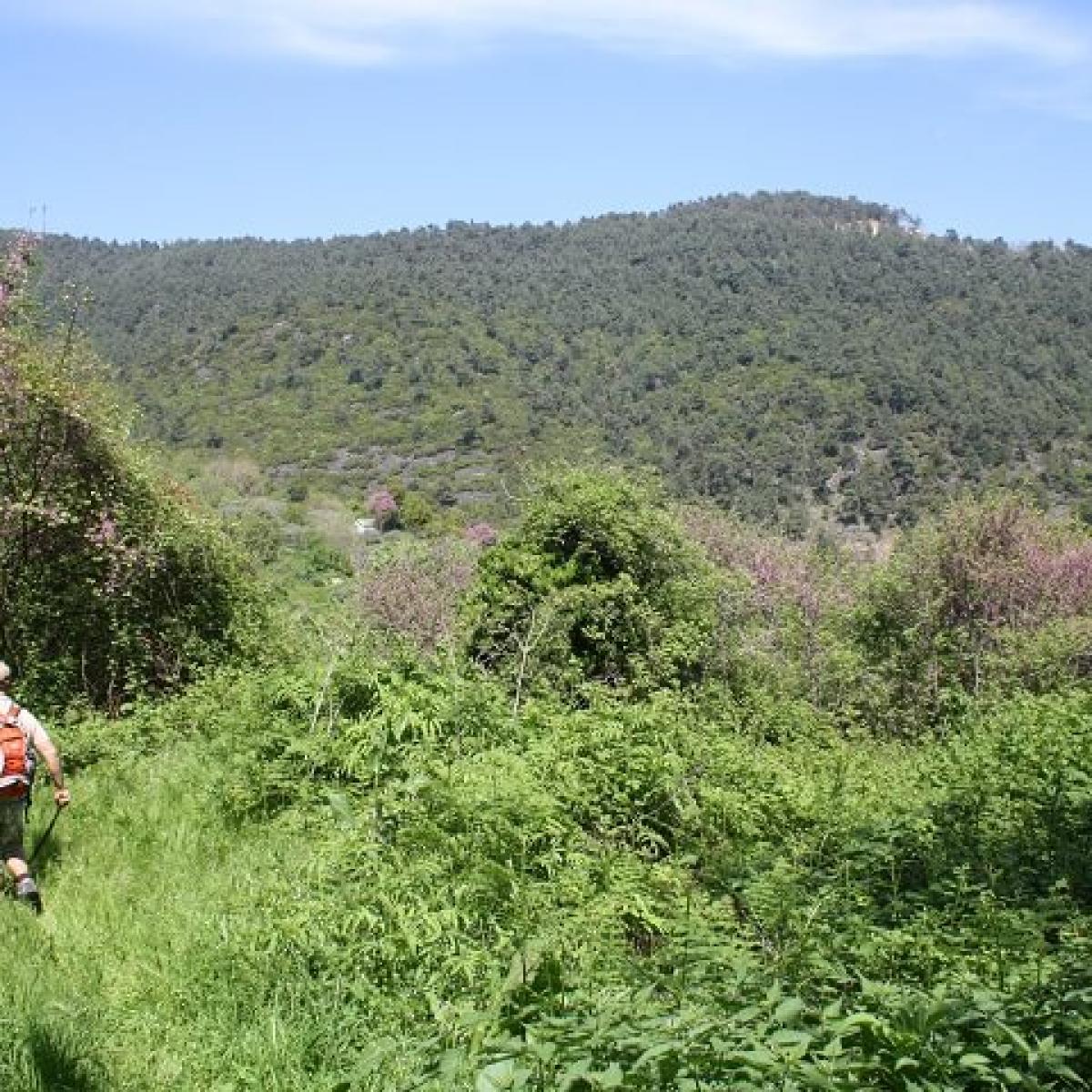 Herbal hiking with panoramic views